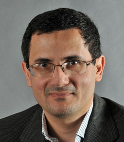 Seyed-Ehsan Elahi, Grad Prog Dir/Assoc Professor, Management Science & Info Sys