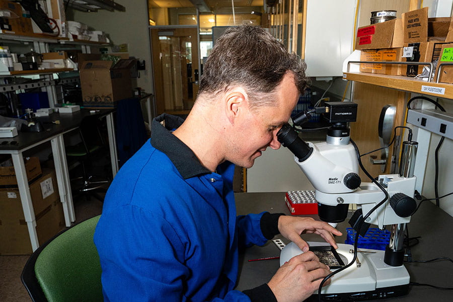 Jesse Farmer examines foraminifera samples under a microscope